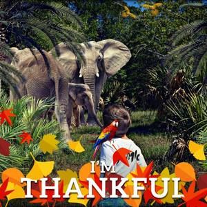 Meet your Posher, Arie